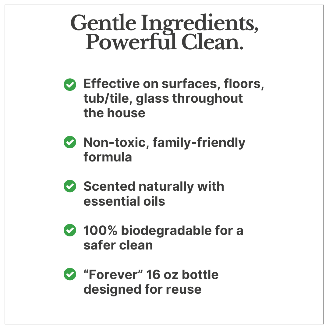 Everyday Cleaning Starter Set