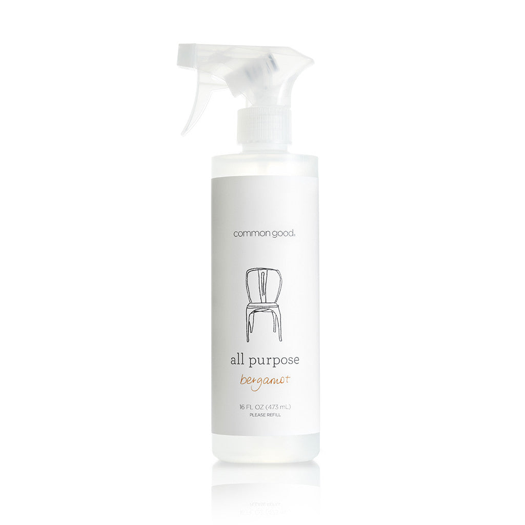 All Purpose Cleaner, 16 Fl Oz - Common Good