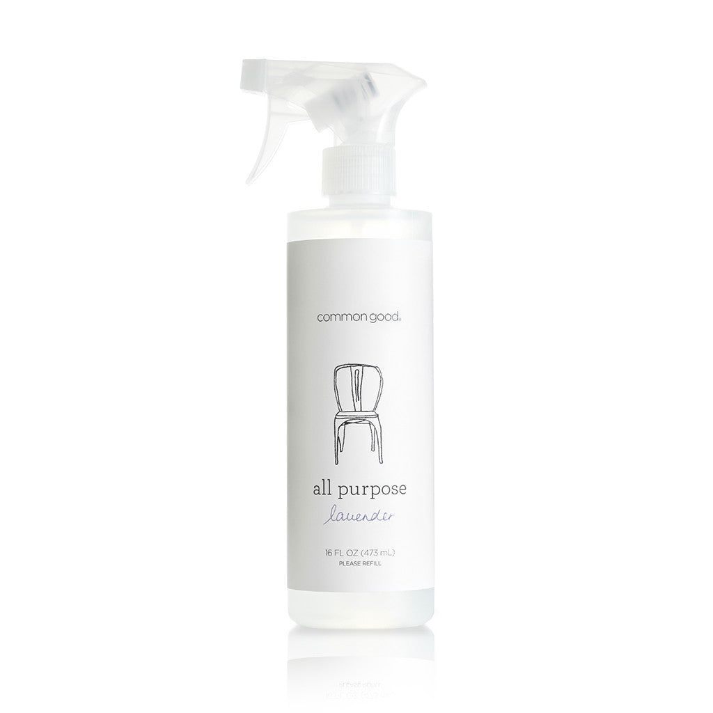 All Purpose Cleaner, 16 Fl Oz - Common Good