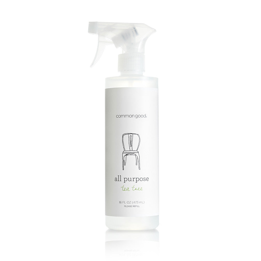 All Purpose Cleaner, 16 Fl Oz - Common Good