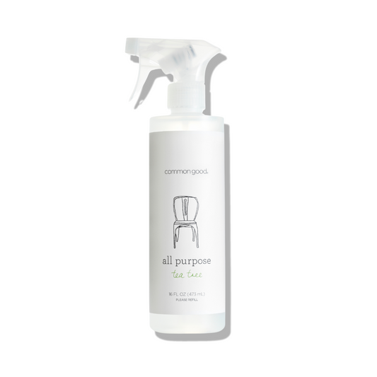 All Purpose Cleaner, 16 Fl Oz