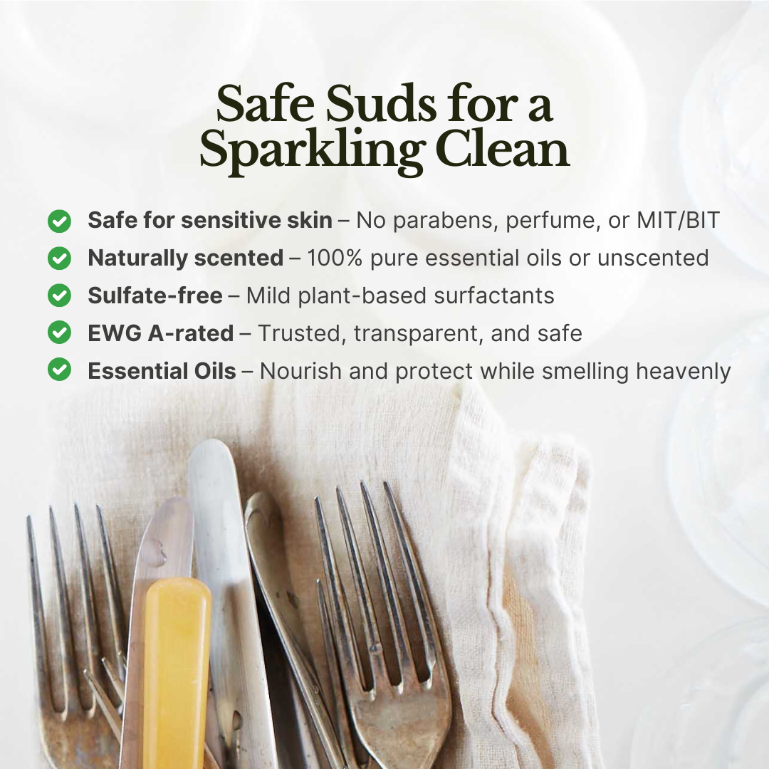 Everyday Dish Set